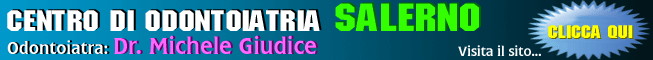sAltText