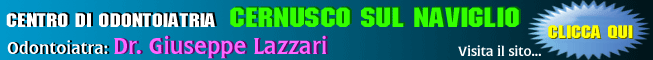 sAltText