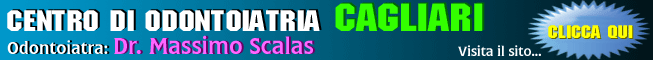 sAltText