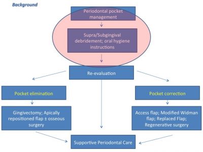 Posizione di unguento di eczema di zinco