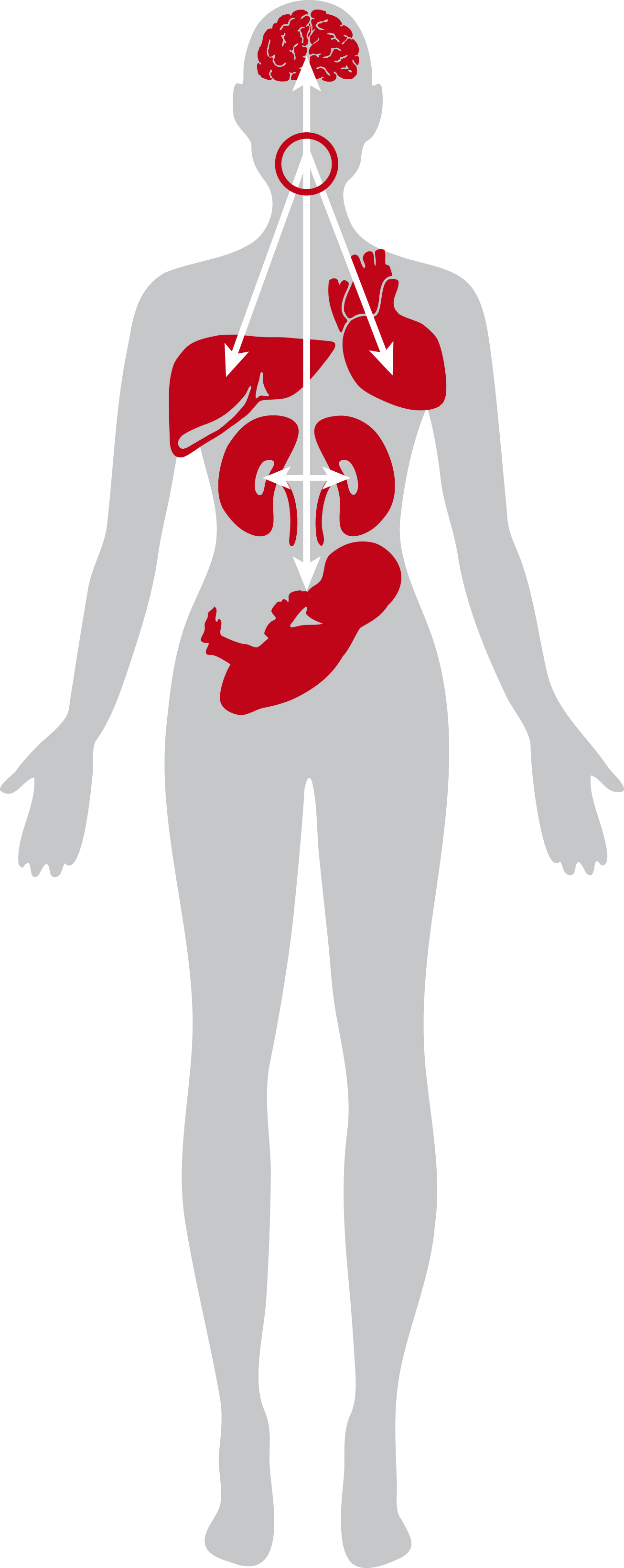 Associazione tra Gengivite, Parodontite e Malattie Sistemiche