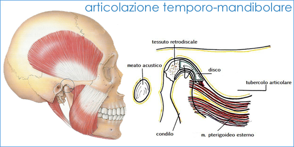 ODONTOIATRIA E FISIOTERAPIA: LA GIUSTA SINERGIA CHE PUNTA AL BENESSERE.