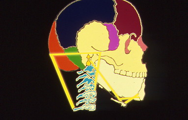 Le disfunzioni cranio-cervico-mandibolari: cause, sintomi e rimedi