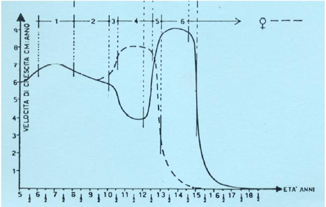 grafico velocità di crescita cm:anno