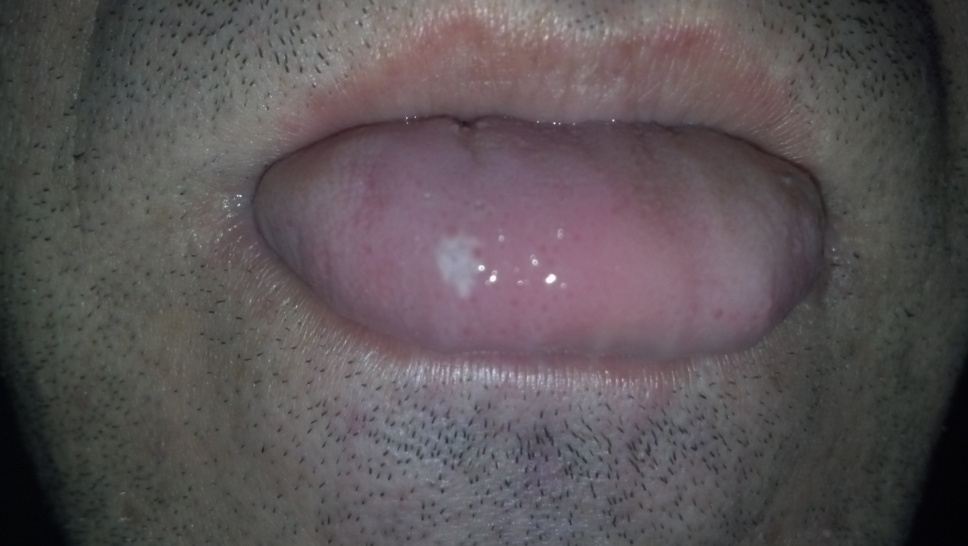 2012-03-28_10-02-35_54.jpg
