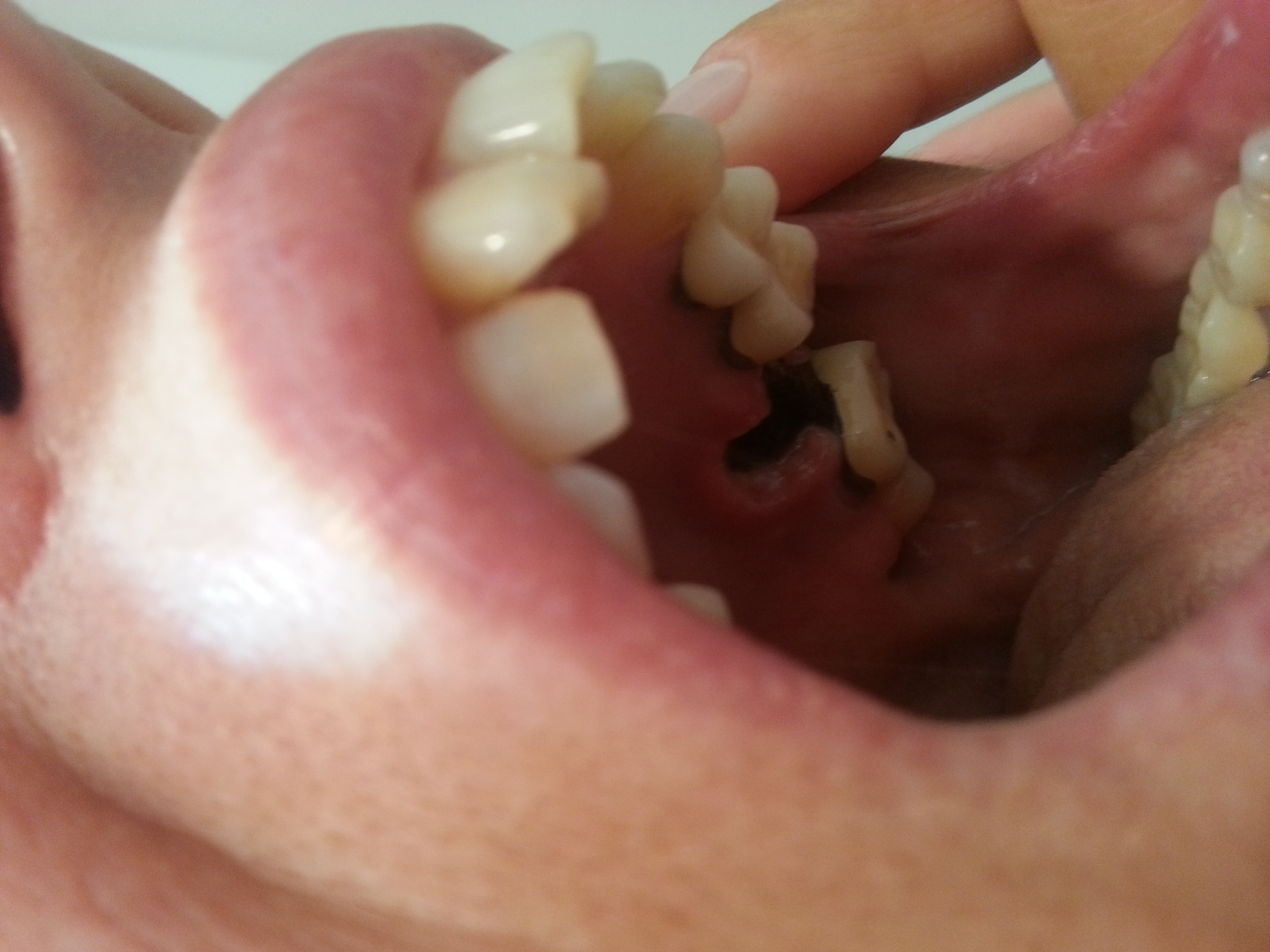 20131009_161254.jpg