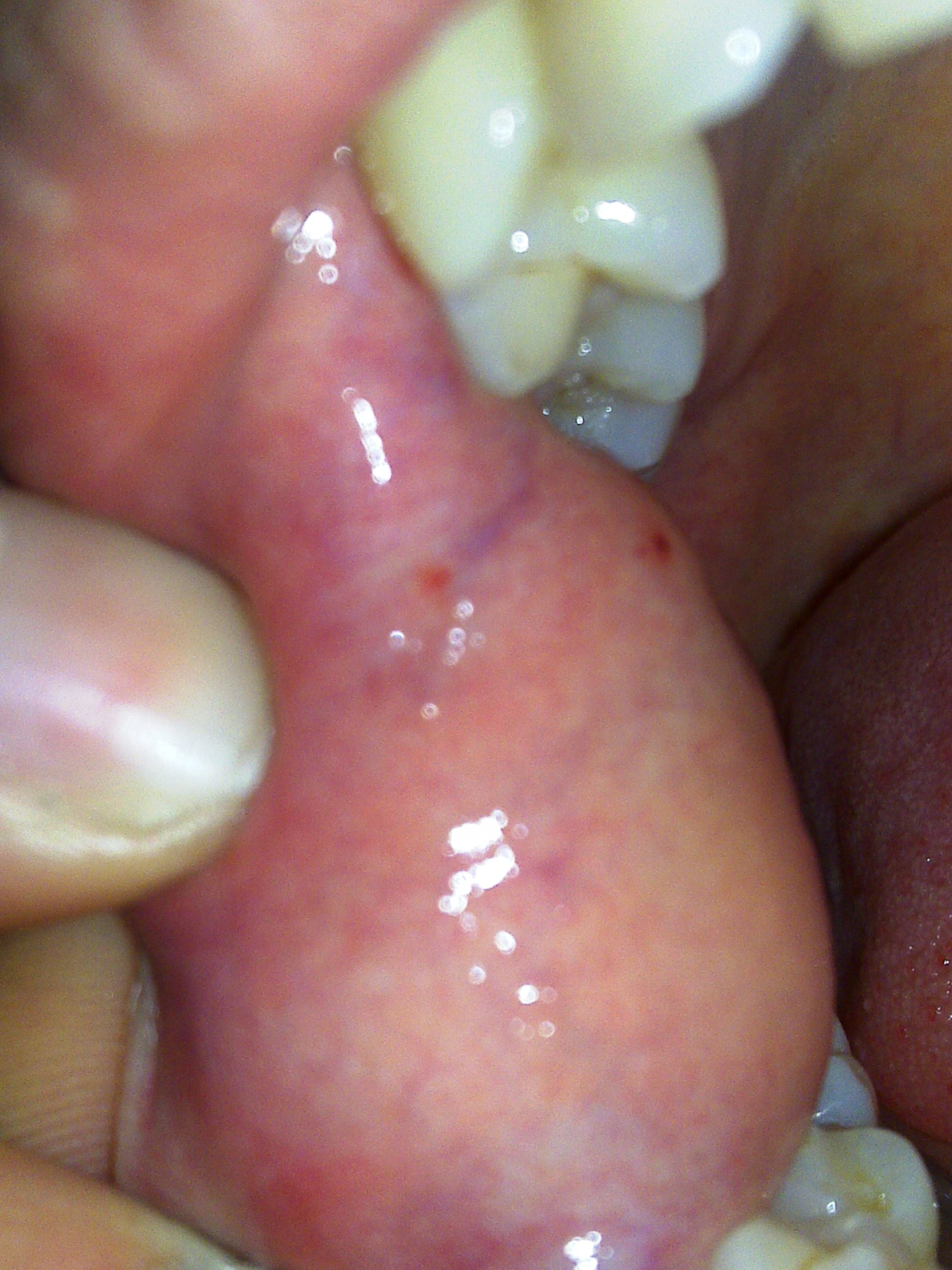 23112010654.jpg