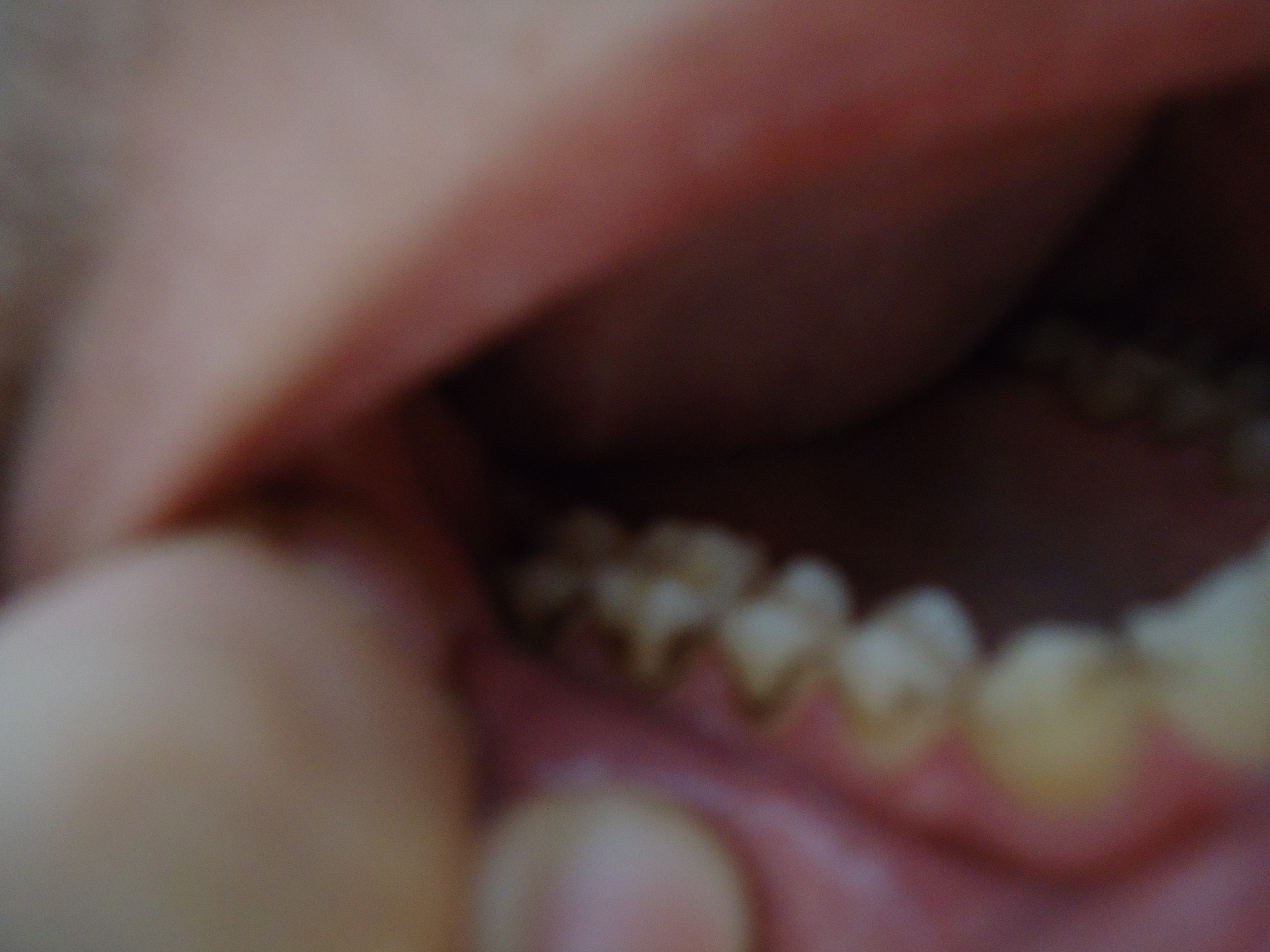 dsc00090.jpg