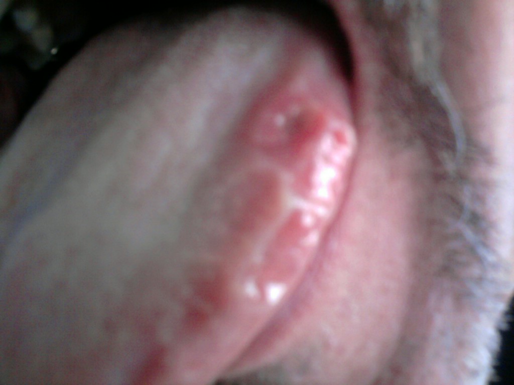 foto0120.jpg