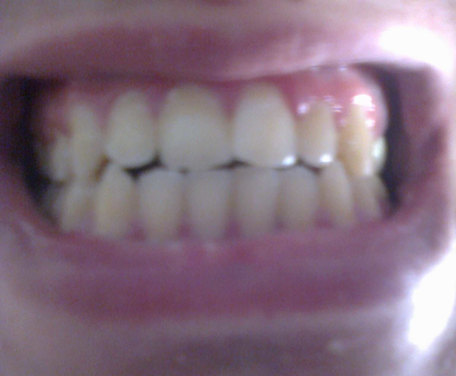 foto0276.jpg