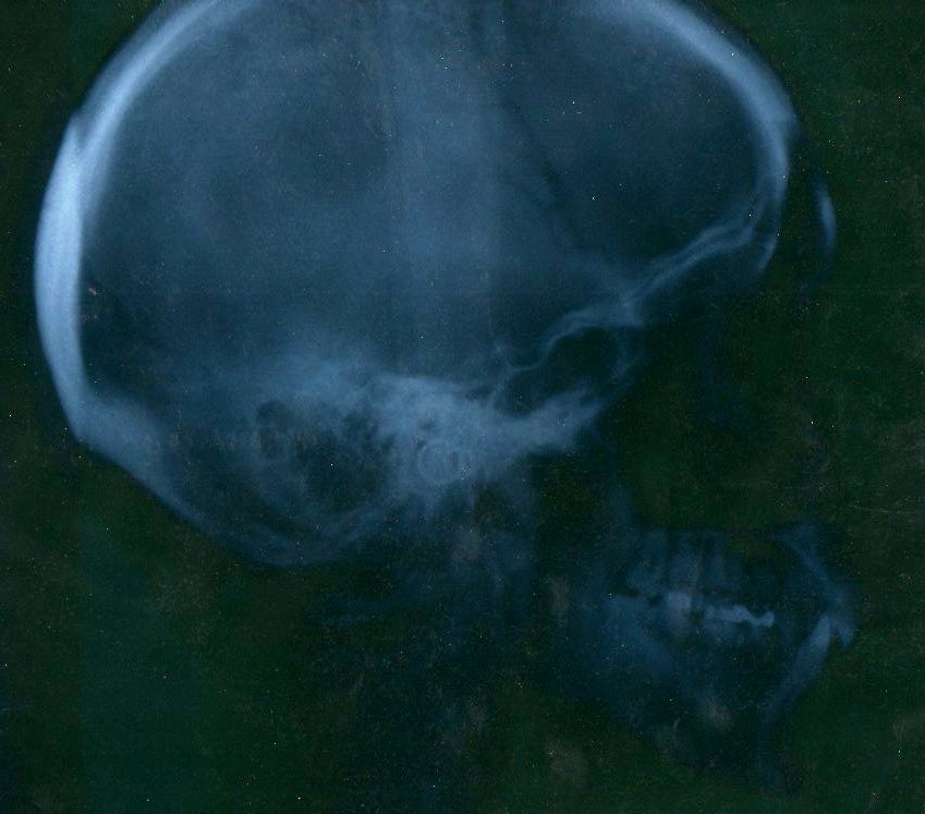 img049.jpg