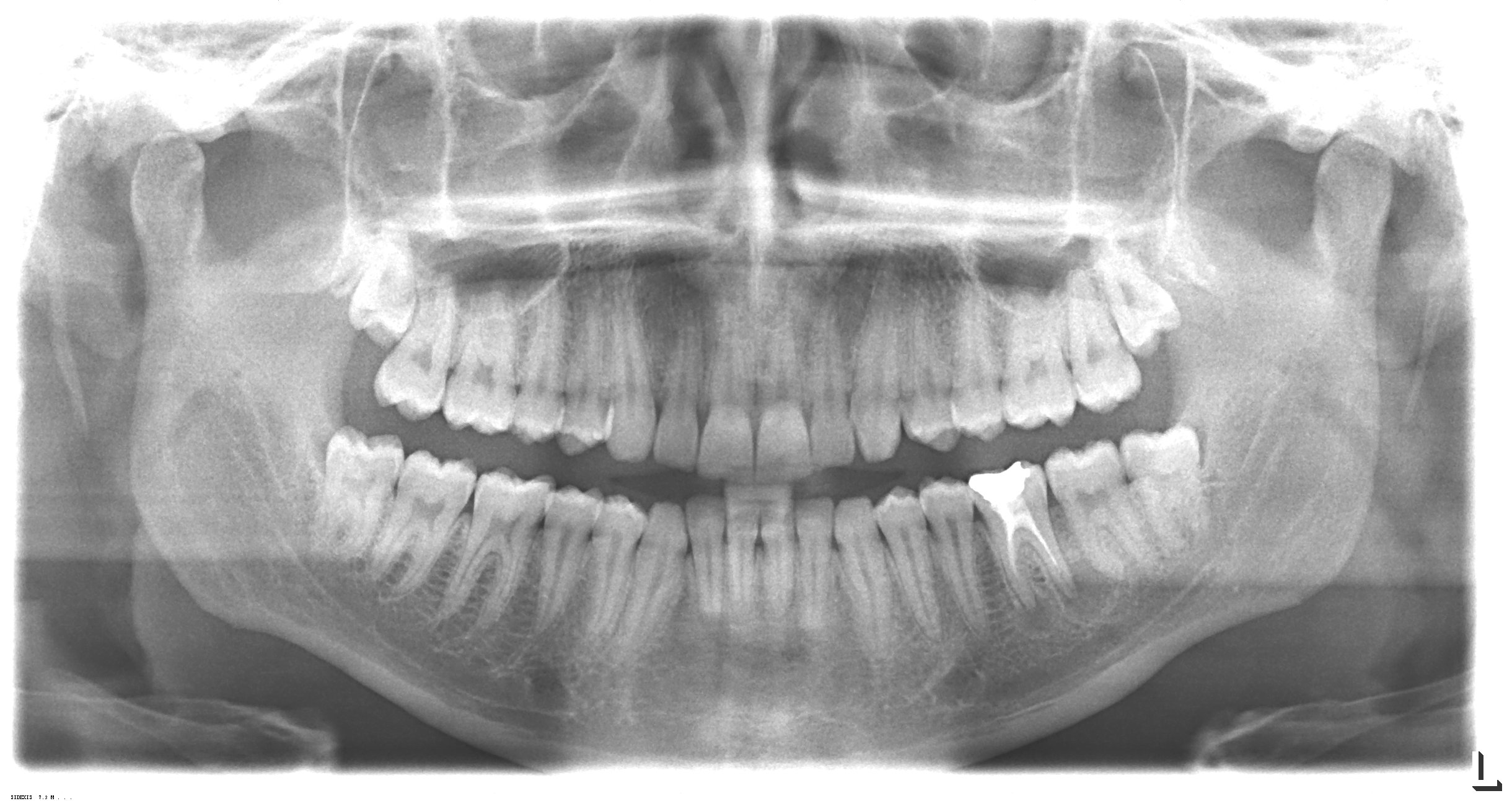 panoramica_dent.jpg