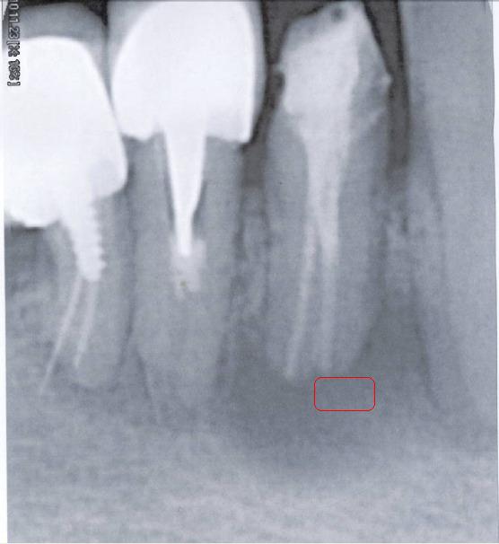 radiografia.jpg