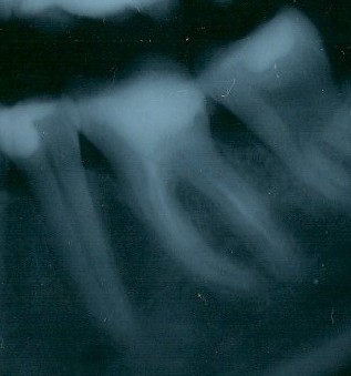 scansione0001-dettaglio.jpg