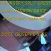 Piezosurgery very difficult split crest
